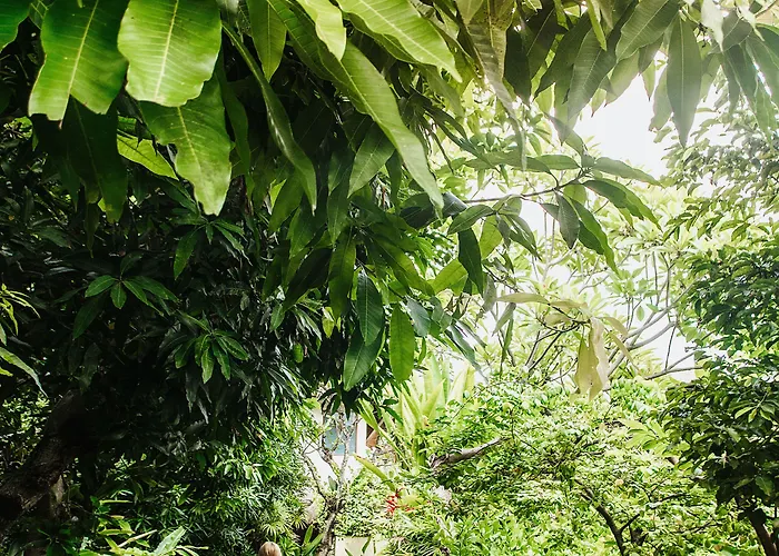 别墅 The Pavilions Bali